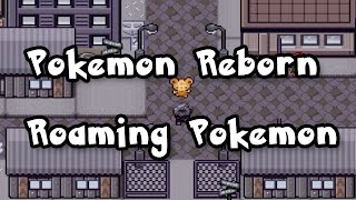 Pokemon Reborn Roaming Pokemon Teddiursa Lillipup Zangoose Zorua Ep 16 [upl. by Lynett]