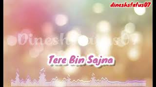 💕🥰Tere Bin Sajna 🥰💕 New Bollywood Song New Song 2024 Savan Song Love Song HimeshReshammiyaMelodies [upl. by Amsirahc]