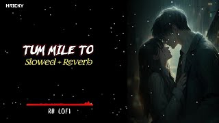 Tum Mile To  Slowed  Reverb  Lofi Song  Hindi Sad Lofi Song  Trending Lofi Song  RH LOFI [upl. by Lemaj]