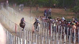 Corrida de Cavalos em Sumé DISPUTA ACIRRADA [upl. by Hardigg111]