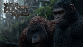 I Did Not Start This War Scene  WAR FOR THE PLANET OF THE APES 2017 Movie Clip [upl. by Nodgnal]