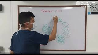 Pneumocystis Jirovecii  Dr Jeffersson Moreno [upl. by Stevie]