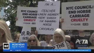 Animal rights groups call on NYC to ban horse carriages in Central Park [upl. by Ysor]