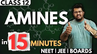 Class 12 Chemistry  Amines in 15 Minutes  NEET 2024 [upl. by Panchito]