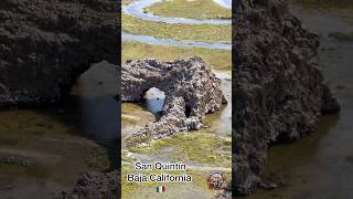 San Quintín Baja California 🇲🇽 playa fishing viralvideo youtubeshorts pesca sanquintin [upl. by Nylicaj]