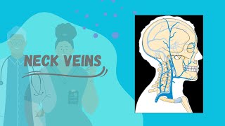 Neck Veins  Veins of Neck [upl. by Meneau]