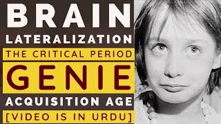 Brain Lateralization  Critical Period  Genie  Right Hemisphere Language  Acquisition Age [upl. by Mavra]