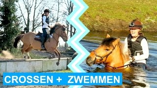 VLOG 19 Crosstraining Lammert Laseur  swimming  felinehoi [upl. by Necyla]