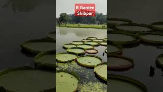 Botanic Garden Shibpur  B Garden  Short video  YouTube  viral  travel  natural beauty [upl. by Yeoz56]