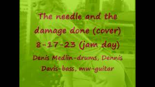 The needle amp the damage done cover [upl. by Siblee]