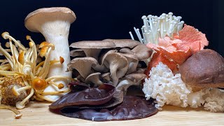 Japanese Mushrooms The Big 7 Shiitake Maitake Eringi Enoki Nameko Bunashimeji [upl. by Terb510]