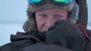 Male Polar Bear Fight Club  Ep 2  Wildlife The Big Freeze [upl. by Wey]