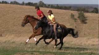 Our cantergallop in slow motion [upl. by Suirtimed]