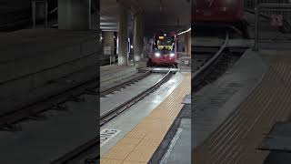 2 Light rails Pyrmont Sydney lightrail tram train publictransport railway trainspotting [upl. by Earahc]