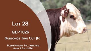 Lot 28 Gundongs Time Out P [upl. by Fawna]