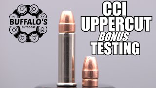 CCI UPPERCUT 22lr Self Defense JHP  BONUS TESTING [upl. by Marjana]