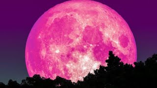 pink moon live [upl. by Ellenhoj595]