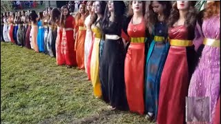 Kurdish Women wedding Dance । Kurdistan  IRAN [upl. by Dlorej]