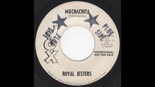 Royal Jesters  Muchachita [upl. by Kirstin]