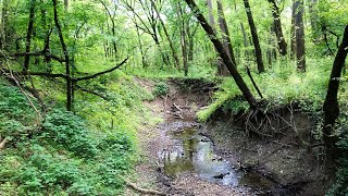 Day Hike Swimming Deer Trail St Francois State Park Missouri [upl. by Salita402]