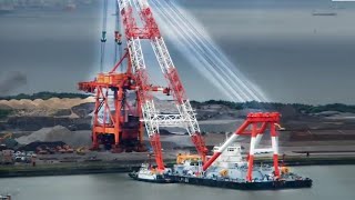 15 MOST Amazing Types of Cranes [upl. by Ahsilek]