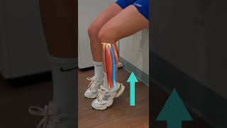 Dont make this super common mistake when doing calf raises [upl. by Tamas]