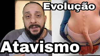 Atávico Evolução e atavismo [upl. by Ateloiv]