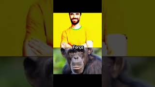 Brasileiro VS Chimpanzé [upl. by Parshall581]