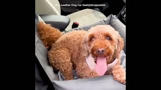 Eco Leather Dog Car Seat [upl. by Ecirtal]