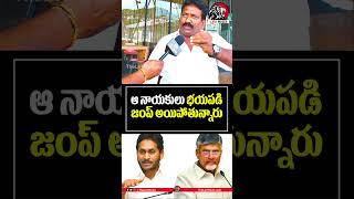 బయపడిపోయిన వైసీపీ నాయకులు👌🔥cmchandrababu ysjagan apliquor appublictalk2024 apliquornews leo [upl. by Chrisoula]