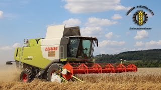 Lohnunternehmen GEBR HERRLICH  Weizen dreschen mit Claas Lexion 660 [upl. by Kelly12]