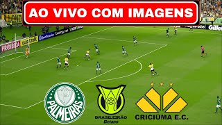 🔴PALMEIRAS X CRICIÚMA AO VIVO COM IMAGENS  BRASILEIRÃO 2024  ASSISTIR JOGO AO VIVO [upl. by Alroi]