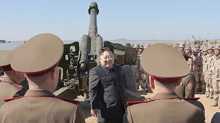 North Korea supports Russia with troops and weapons Zelenskyy claims [upl. by Sturrock812]