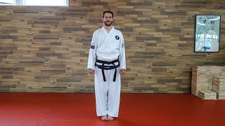 MAOCHARYOT SOGI  Schrittstellung Tutorial  TaekwonDo [upl. by Oicneconi]