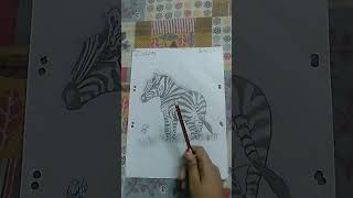 Zebra drawing SUBSCRIBE for next drawing [upl. by Nitsed]