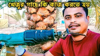 সৌদি আরবের খেজুর গাছে কাজ করলাম Saudi Arabia Khejur Tree Work [upl. by Anelrahs]