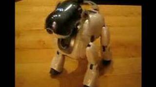 Sony Aibo Best Bits [upl. by Annas]