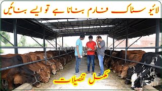 Feedlot Fattening Farm ManagementMechanised livestock farmingMeat farmکمرشل لائیو سٹاک فارم کا [upl. by Peony]