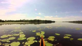 Paddling a quiet corner of the St Croix Flowage Gordon WI [upl. by Orville36]