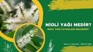 Nioli Yağı Nedir Nioli Yağı Faydaları Nelerdir  Doktorify [upl. by Gerry]