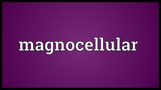 Magnocellular Meaning [upl. by Akihsay660]