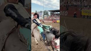 front row seat POV cowboys rodeos horse sports [upl. by Schick54]