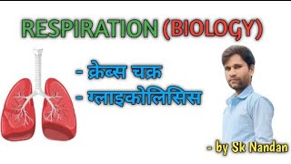 Respiration  biology  by Sk Nandan [upl. by Adalie]