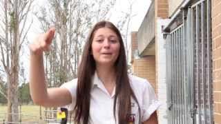 Plumpton High School Lip Dub 2013 [upl. by Ujawernalo]