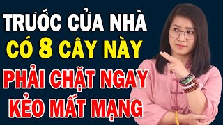 Trước Cửa Nhà Ai Mà Có 8 Loại Cây Này Phải Chặt Ngay Kẻo Xui Xẻo Bủa Vây Thân Bại Danh Liệt [upl. by Rigby]