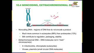 Module 7 Microbial Genetics [upl. by Panta401]