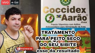 sibite Como tratar peito seco com coccidex Aarão [upl. by Rory]