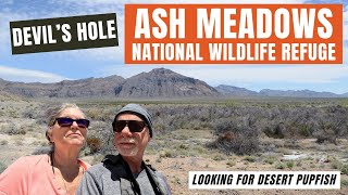 Ash Meadows National Wildlife Refuge amp Pupfish of Death Valleys Devils Hole [upl. by Elyn]