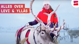 Fins Lapland fantastisch skiën en genieten van het noorderlicht [upl. by Twedy]