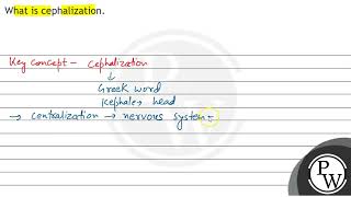 What is cephalization [upl. by Lore]